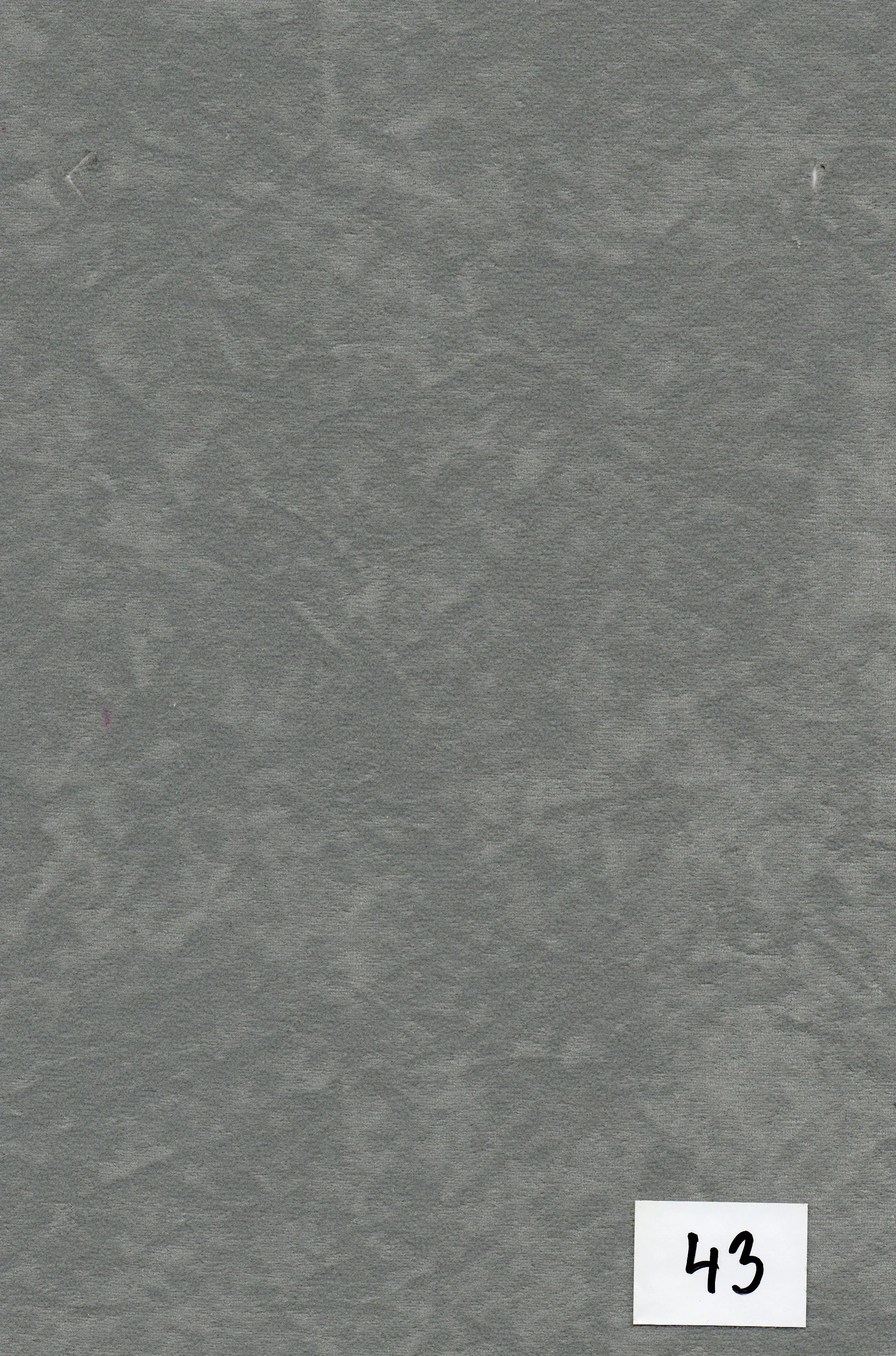 sivá (č.43/nohy buk)