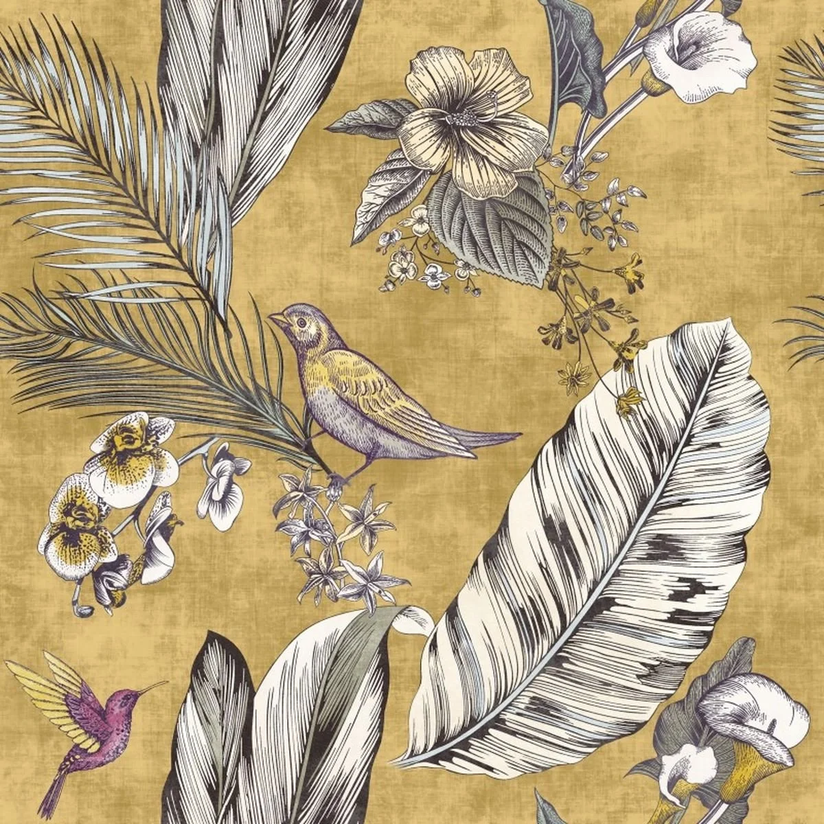 žlutá (an4787/wenge)