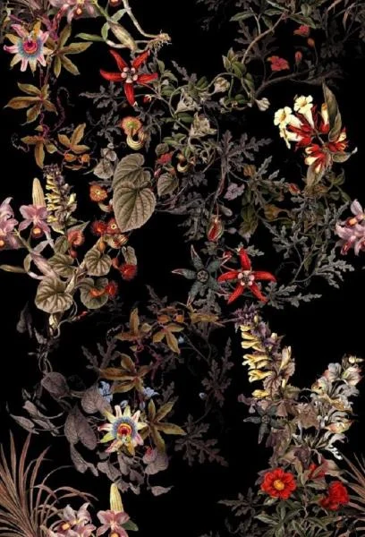 čierna vzor květy / wenge (eden 3991/102)