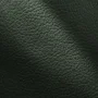 zelená (green 321)