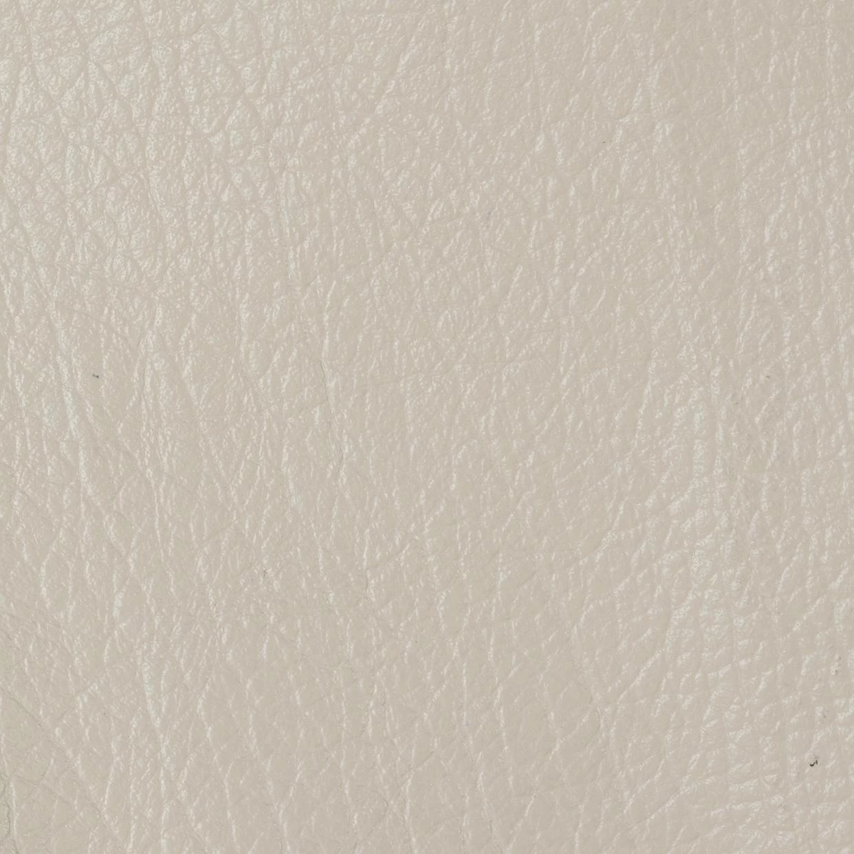 1636 (biela - WHITE)