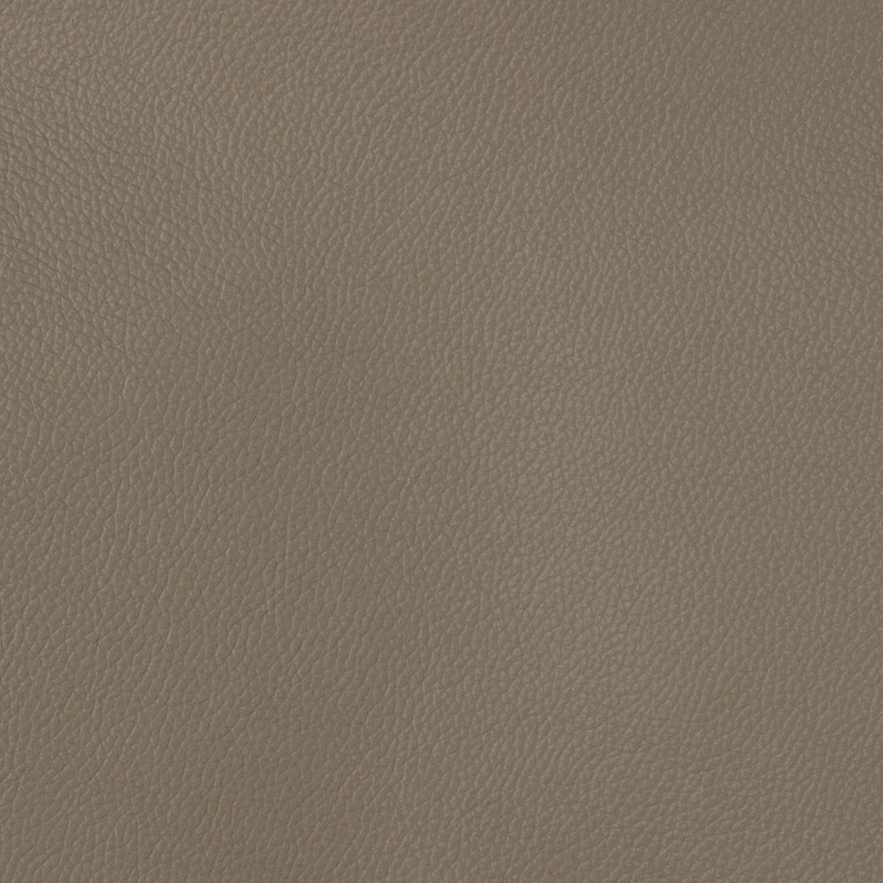 005 (cappuccino - PUTTY)