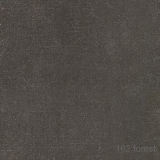 162 Forest (tm. šedá)