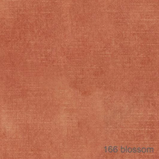 166 Blossom (lososová)