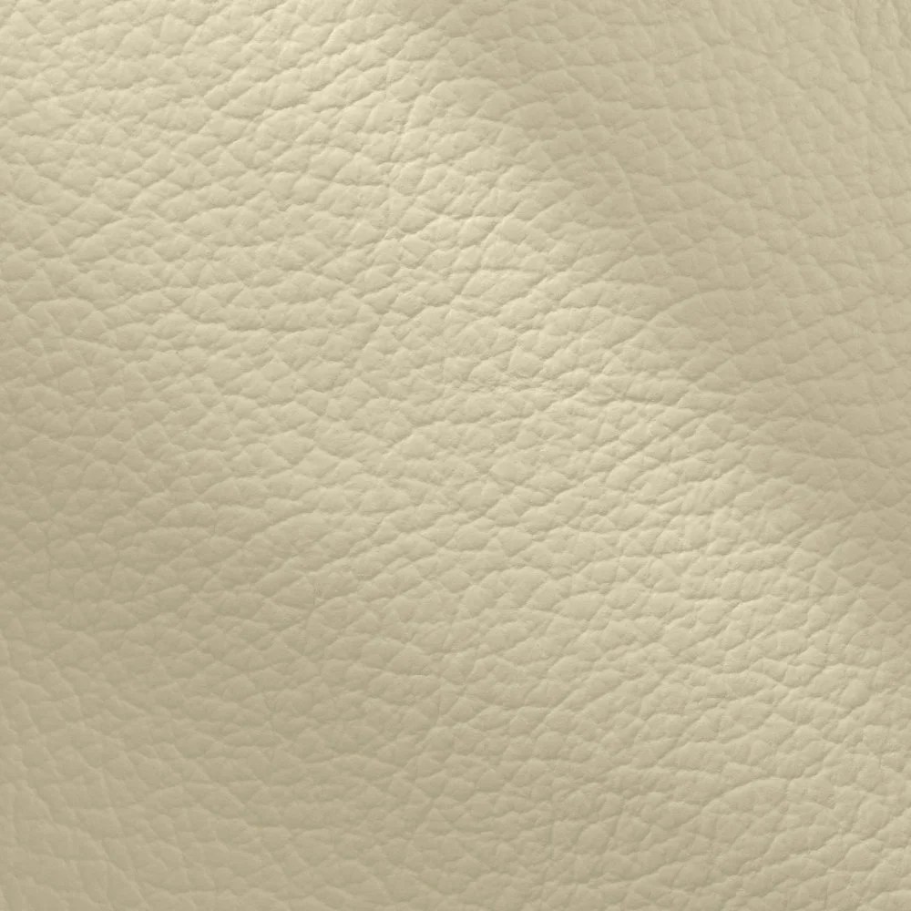 smetanová (ivory 310)