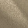 cappuccino (cappuccino 313)