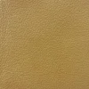 S38