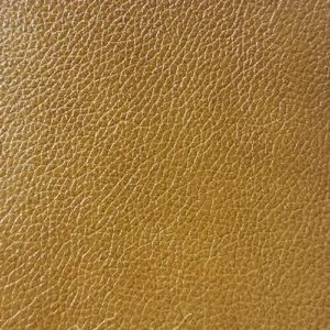 S51