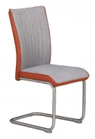 Jídelní židle DC225