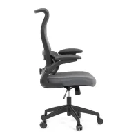Kancelářská židle ERGO Mesh Pro/šedá