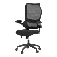 Kancelářská židle ERGO Mesh Pro/černá
