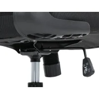 Kancelářská židle ERGO Mesh Pro/černá