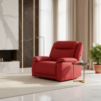 Kožené kreslo CONTINENTAL 1P