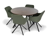 Jídelní židle LOREN zelená