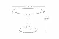 Jídelní stůl ORBIS 100 hnědá + 4ks jídelní židle LOREN hnědá/krémová