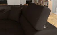 Anton