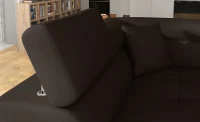 Anton