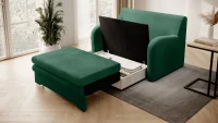 Ario