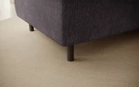 Gomsi